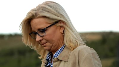 Ex-Ford foundation member calls Liz Cheney 'only person on this planet' worthy of top award after snub he says was over Trump