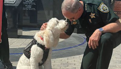 Photos: Emotional support dogs honored in Jacksonville