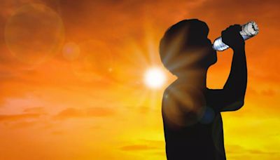 Heat-Related Deaths Rise In The US; Preventive Measures And More