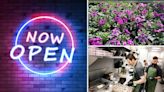 Quad-Cities business openings, closings: Verde, Eve's Garden and Greenhouse, and more