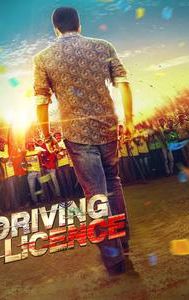 Driving Licence (film)
