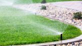 How to keep lawns and gardens healthy during severe heat