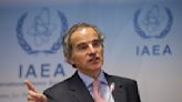 Grossi set for second term at helm of UN nuclear watchdog