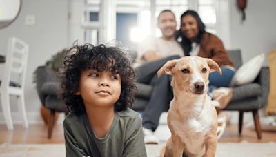 Gadgets esenciales para mantener a tu mascota segura en casa