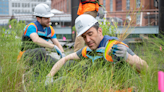 National Aquarium brings new Harbor Wetland to life - Maryland Daily Record