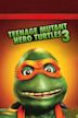 Teenage Mutant Ninja Turtles III