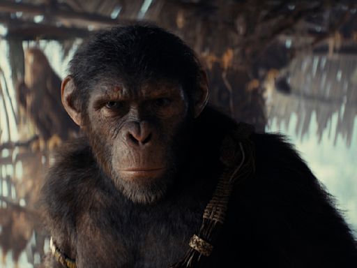 Everything you need to know before watching Kingdom of the Planet of the Apes