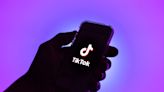 TikTok 'pauses' privacy policy switch in Europe after regulatory scrutiny