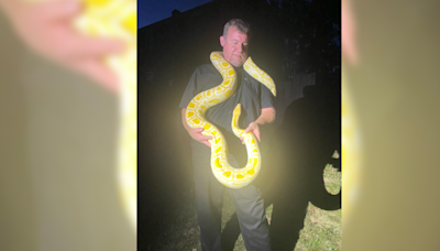 Large snake found in McCandless Township