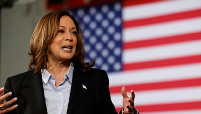 Kamala Harris' policy plans and platform on key issues for the 2024 election