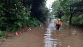 改善河道水路提高防洪標準 龍潭霄裡溪排水幹線進行排水改善6/1完工