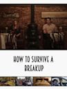 How to Survive a Breakup