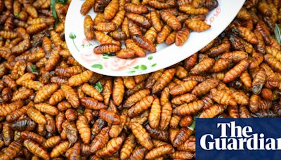 Singapore has approved 16 insects to eat as food: here’s everything you need to know