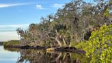 Crooked River Ranch on Manatee River in Parrish receives conservation protection