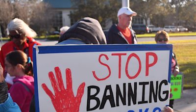 'Freedom to Learn' protesters push back on book bans, restrictions on Black history