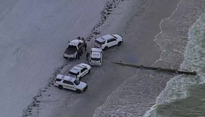 Missing swimmer found dead near Madeira Beach: PCSO