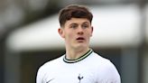 Will Lankshear scout report as Middlesbrough consider loan move for Tottenham striker