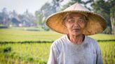 Rice is a silent source of methane emissions: Meet the startup helping farmers tackle the problem