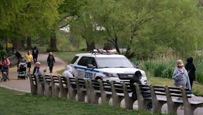 Stranger snatches cell phone from woman in Central Park, tosses it into Swan Lake