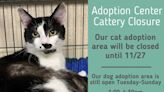 Cattery closure at Norfolk SPCA