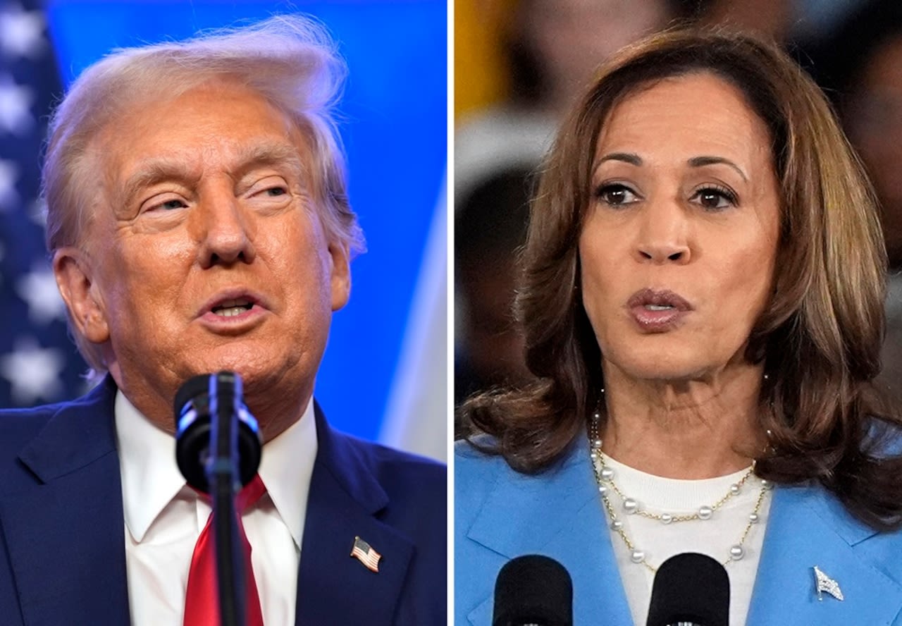 Harris vs. Trump latest presidential polls: Headed to a blowout? Here are recent numbers that support it