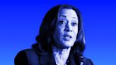 Kamala Harris is racking up endorsements from key Democrats — and Trump is already on the attack