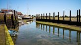 Fibreglass found in oysters and mussels at harbour