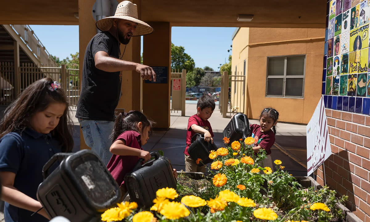 Scorching Schoolyards: California Groups Want More Trees, Less Asphalt at Schools