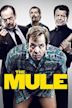 The Mule (2014 film)