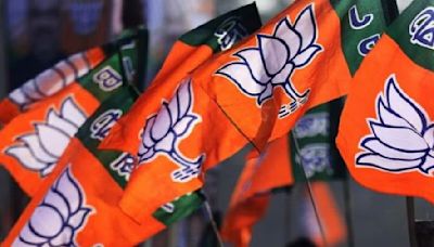 Haryana Polls: BJP Sacks Rebel Contesting Against CM Nayab Singh Saini, 7 Others