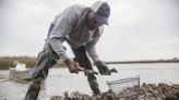 Remembering Murrells Inlet’s ‘last original oysterman,’ Franklin Smalls, aka ‘Snakeman’