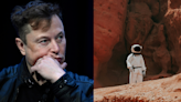 Musk Baby Boom? Elon Reportedly Pledges Sperm for Future Mars City