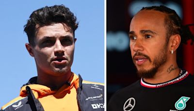 Red Bull chief accuses Hamilton and Norris’ cars of ‘pushing the legal limits'