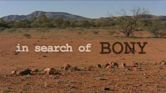 In Search of Bony