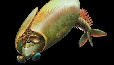 Ancient swimming ‘taco’ had ‘bug jaws,’ new fossils show