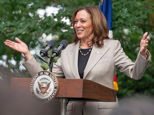 Will earn and...: Kamala Harris after Biden drops out