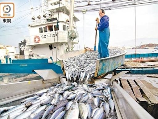 港府至今抽查逾6.9萬日本進口水產樣本 輻射水平暫無發現超標