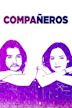 Compañeros