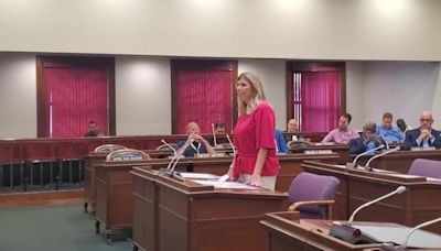 Assemblywoman Monica Wallace on term limits