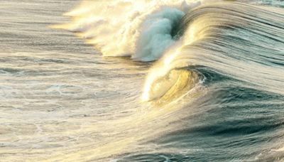 Encuentran a enorme criatura marina de 40 pies varada en playa de California