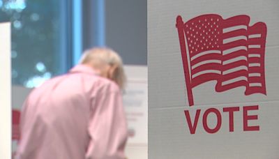 Maryland Primary Elections 2024: What's on the ballot in each county