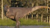 Incredible archaeology discovery as 16.4ft long carnivorous dinosaur unearthed