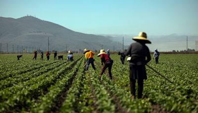 Esta propuesta de ley podría impactar el modo en que viven trabajadores agrícolas migrantes en California