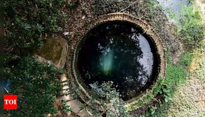 This mythological well in Varanasi is said to 'cure all diseases' | - Times of India