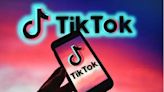 專論》TikTok禁令倒數計時 美眾參議院相繼通過 拜登火速簽署