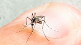 ¿Qué secuelas deja el dengue?