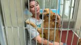 Joplin Humane Society halts animal intakes for first time ever due to overcrowding