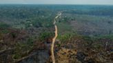 Amazon deforestation rises for the first time in 15 months