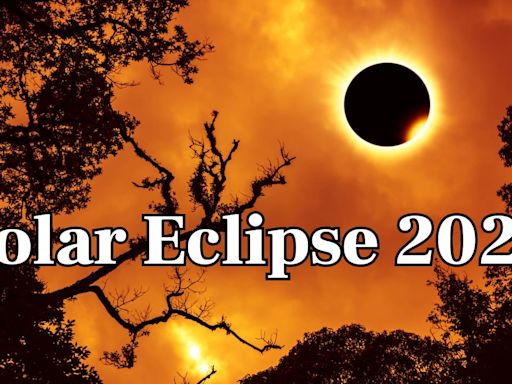 Solar Eclipse 2024: How Surya Grahan Will Affect Each Zodiac Sign