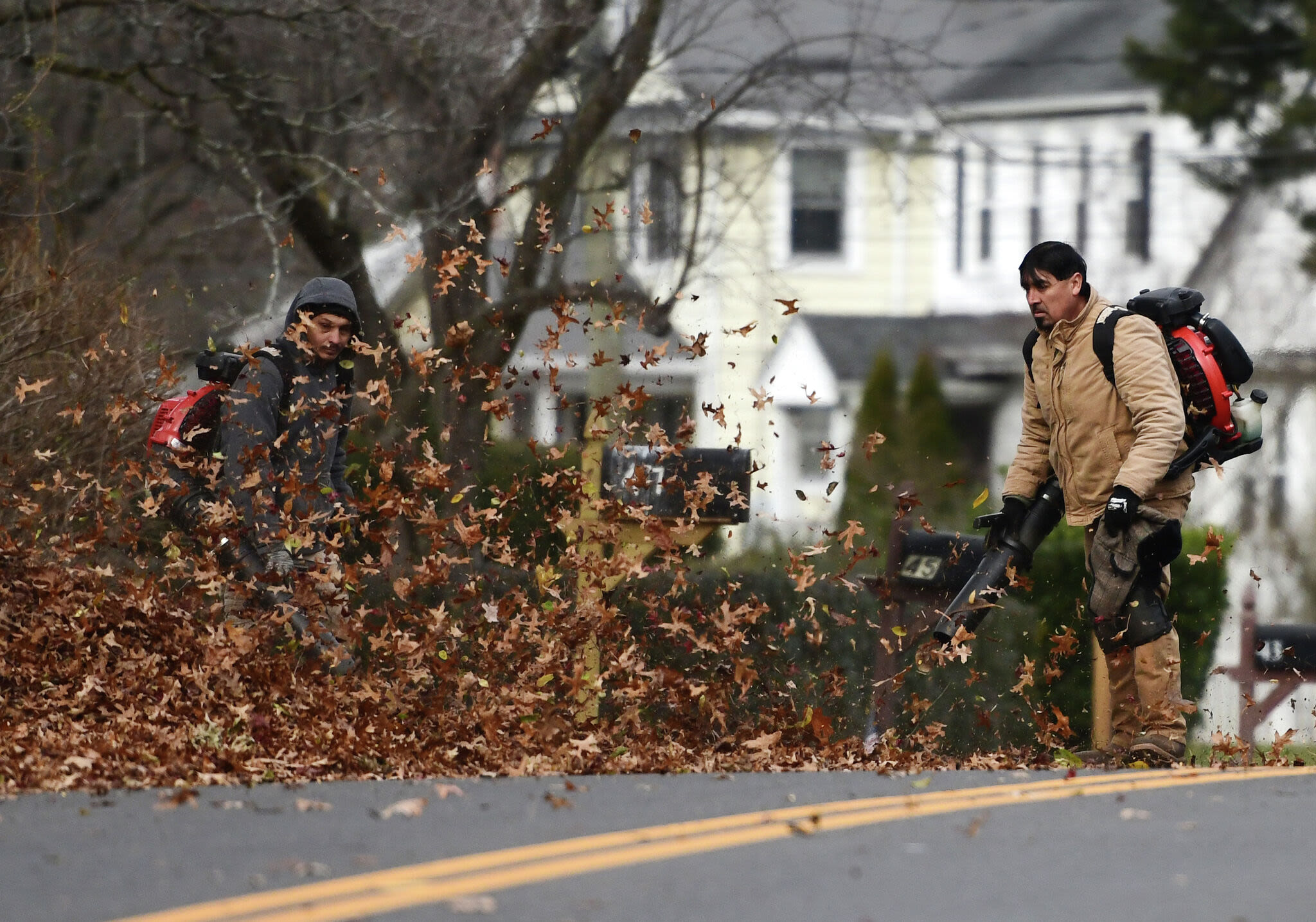 Greenwich landscapers ask 'on bended knee' for more time to go from gas to electric leaf blowers